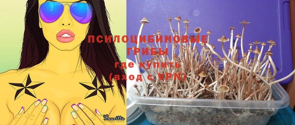 хмурый Балахна