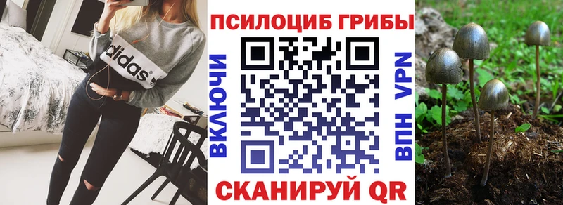 купить   Новопавловск  Псилоцибиновые грибы прущие грибы 